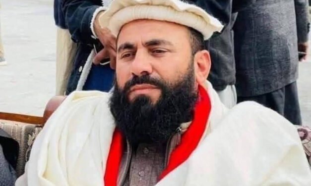 ANP leader Maulana Khan Zeb aur security officer ka Bajaur mein murder