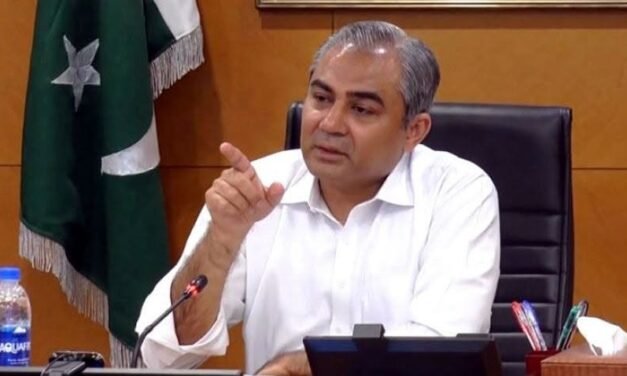 Naqvi ka wada: UAE visa issues aur assport ki ranking ki problems solve krenge
