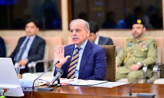 PM Shehbaz ka digital economy ko promote karne par zorr
