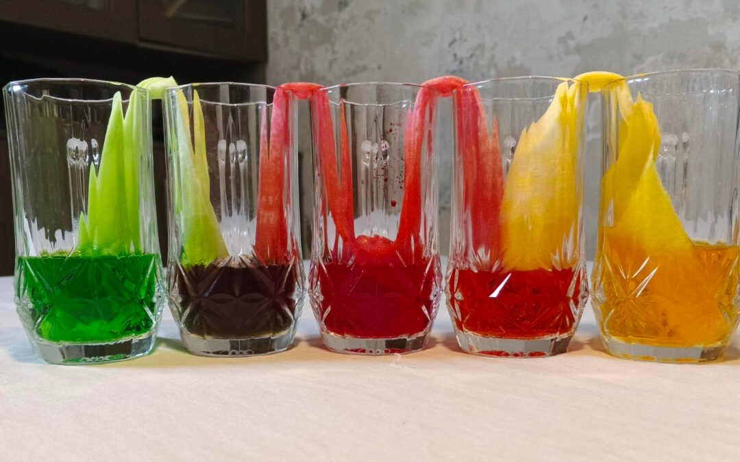 Walking Water Experiment – Understanding Plant Capillary Action