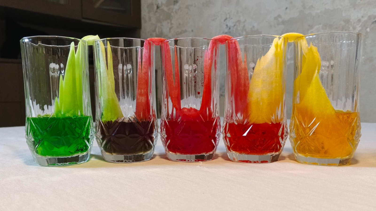 Walking water experiment plant capillary action