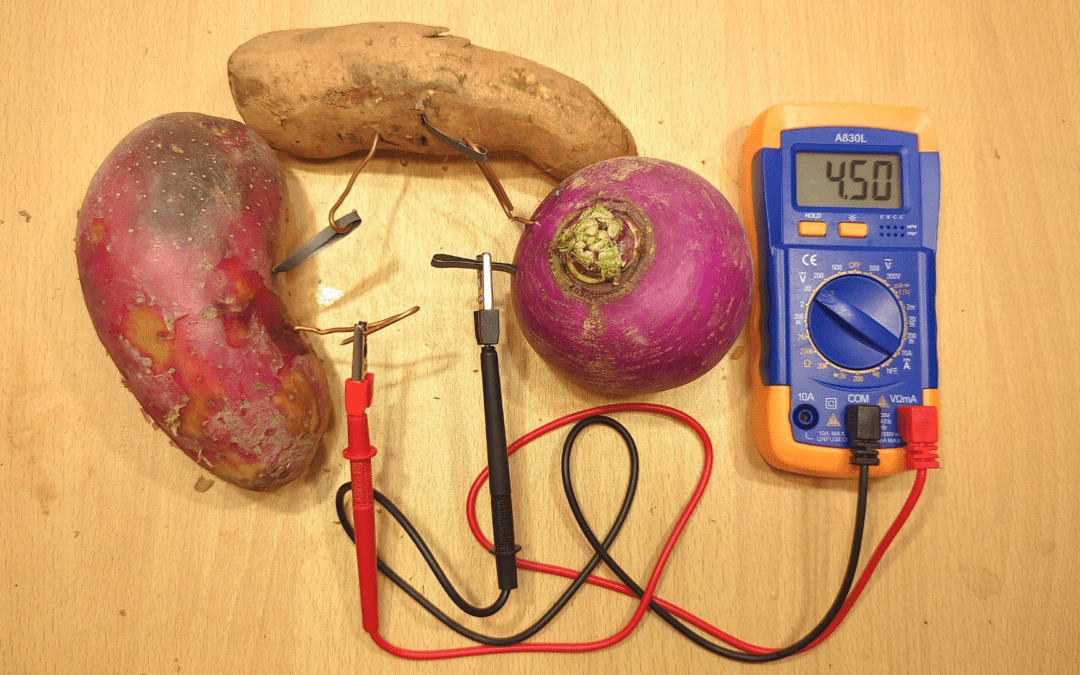 Potato Vegetable Battery Science Experiment