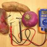 Potato Vegetable Battery Science Experiment