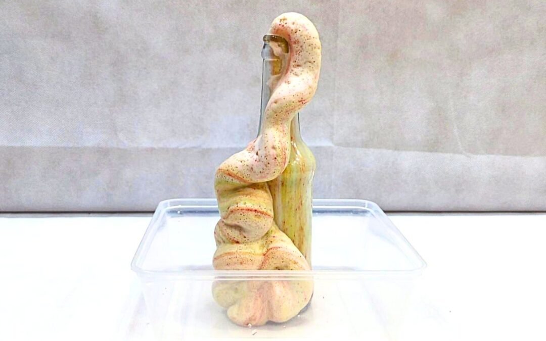 Elephant Toothpaste Chemical Reaction