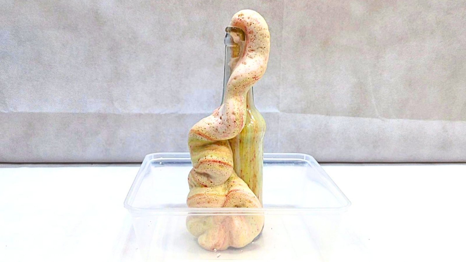 Elephant Toothpaste Chemical Reaction